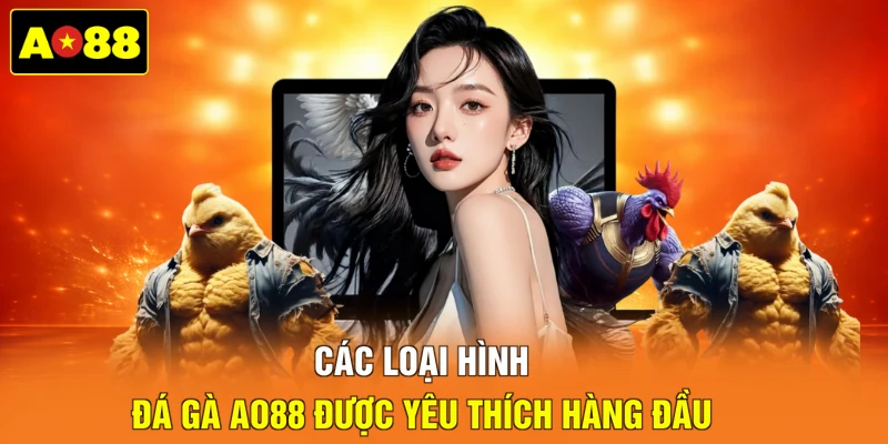 Các loại hình đá gà AO88 được yêu thích hàng đầu