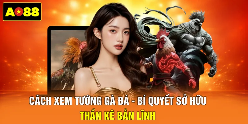 Cách xem tướng gà đá