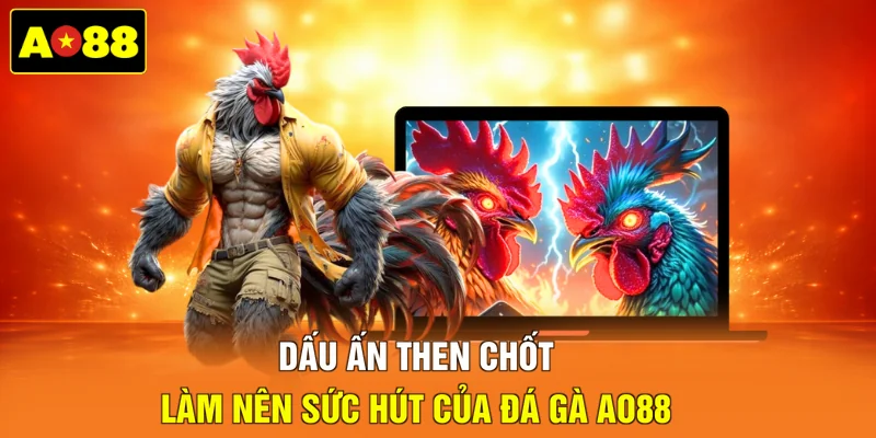 Dấu ấn then chốt làm nên sức hút của đá gà AO88