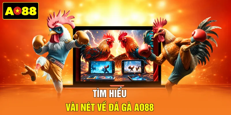 Tìm hiểu vài nét về đá gà AO88